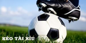 Kèo Tài Xỉu Tại 8XBET: Trải Nghiệm Cá Cược Cực Kỳ Hấp Dẫn